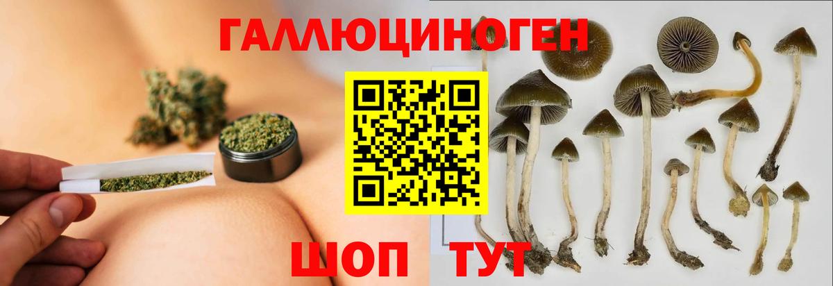 Галлюциногенные грибы мицелий  Вход с VPN  где купить наркотик  Галлюциногенные грибы прущие грибы  Губкин 